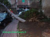 Soccorso tecnico urgente- Maltempo 26 Dicembre 2004